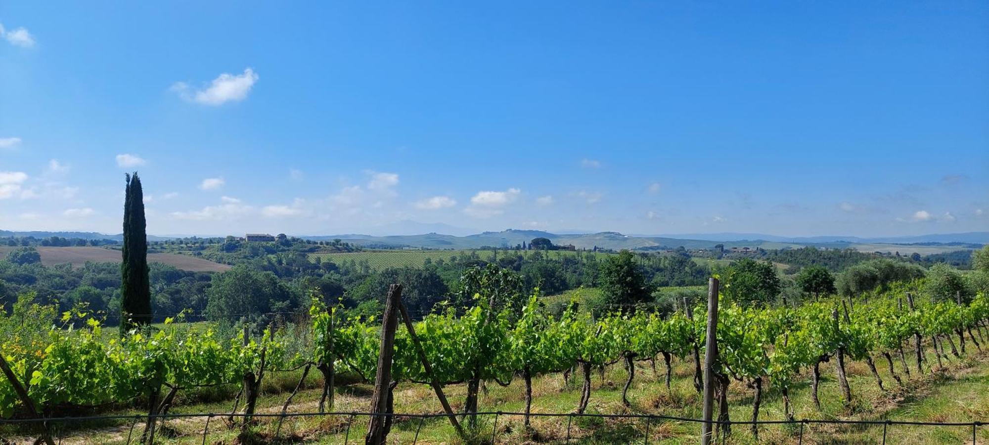 Chianti - Lovely Cottage With Parking & Garden! Castelnuovo Berardenga Ngoại thất bức ảnh